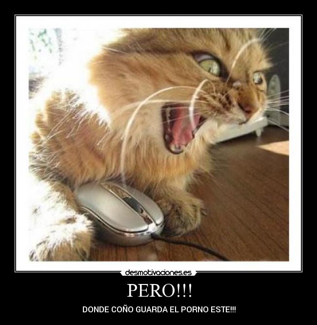 PERO!!! - DONDE COÑO GUARDA EL PORNO ESTE!!!