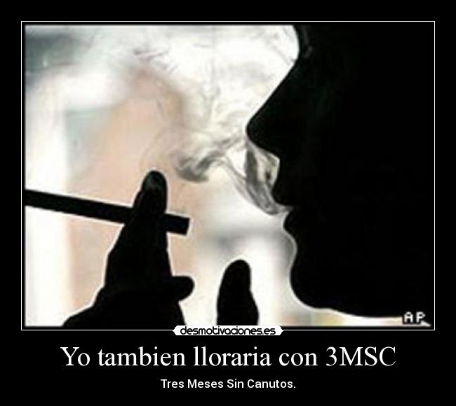 Yo tambien lloraria con 3MSC - Tres Meses Sin Canutos.