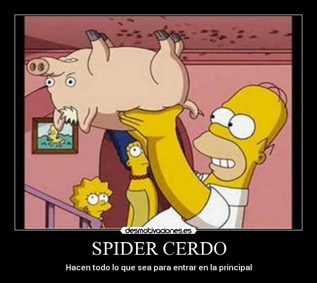 SPIDER CERDO - Hacen todo lo que sea para entrar en la principal