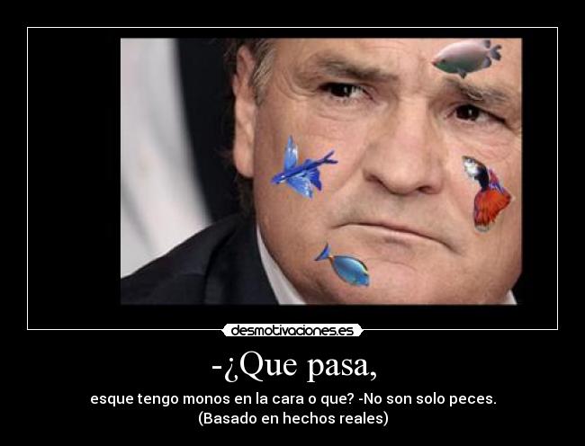 -¿Que pasa, - esque tengo monos en la cara o que? -No son solo peces.
(Basado en hechos reales)