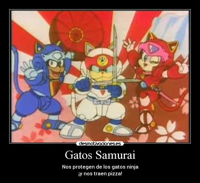 Gatos Samurai - Nos protegen de los gatos ninja
¡y nos traen pizza!