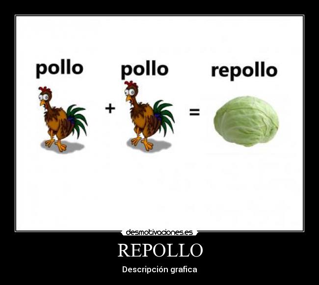 REPOLLO -