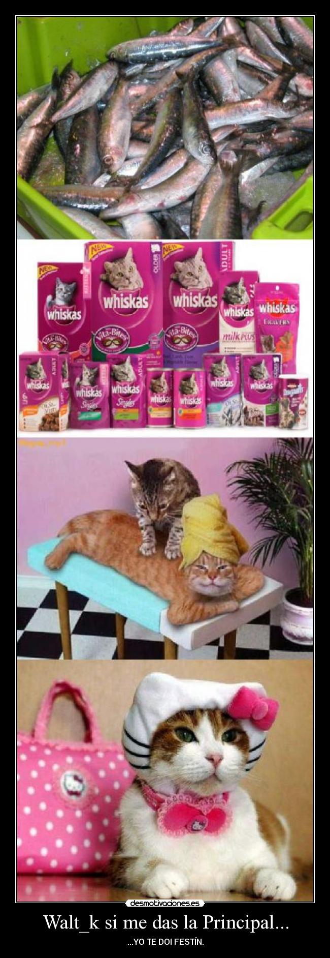 Walt_k si me das la Principal... -