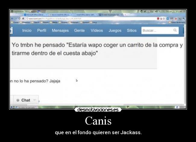 Canis -