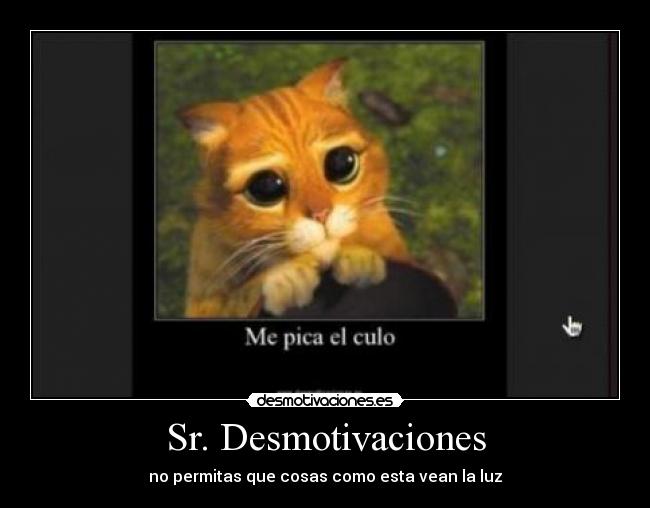 Sr. Desmotivaciones - 