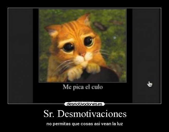 Sr. Desmotivaciones - 