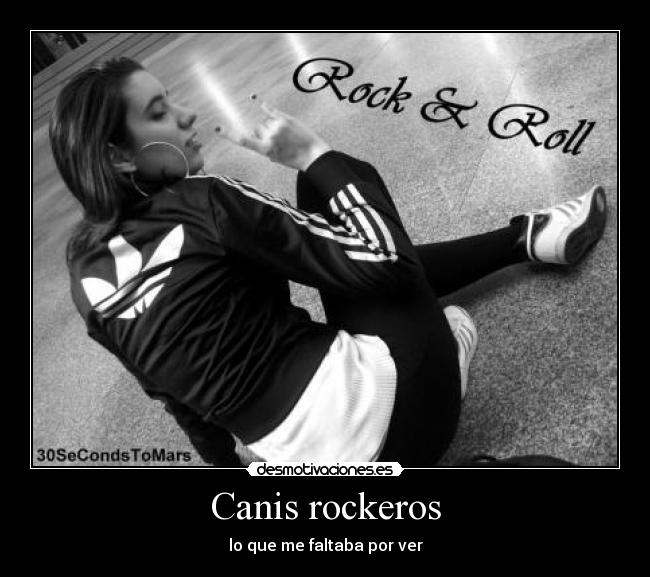 Canis rockeros - 