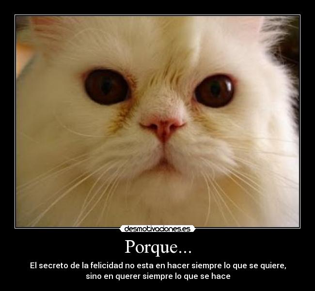 Porque... - El secreto de la felicidad no esta en hacer siempre lo que se quiere,
sino en querer siempre lo que se hace