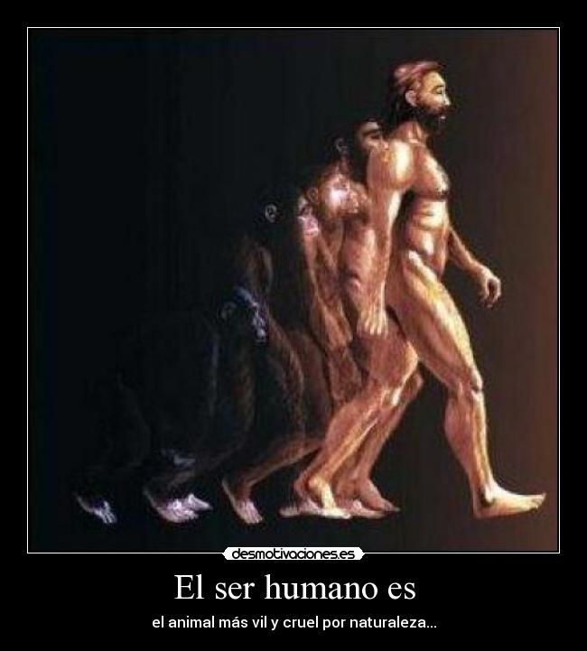 El ser humano es -
