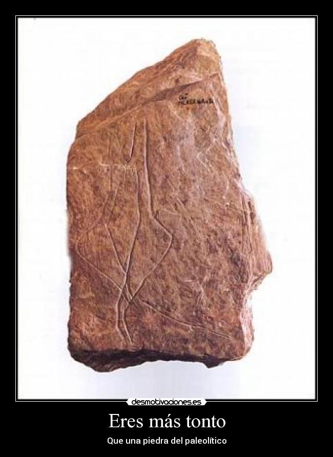 Eres más tonto - 