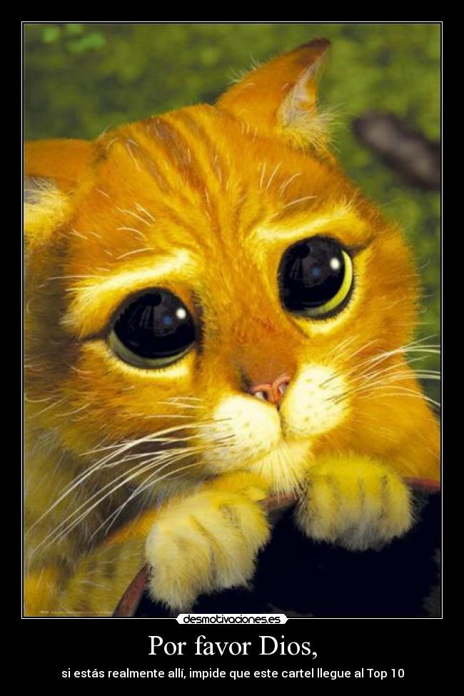 Por favor Dios, - si estás realmente allí, impide que este cartel llegue al Top 10