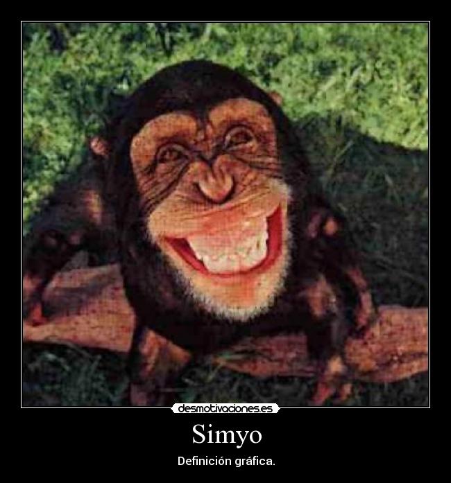 Simyo - Definición gráfica.