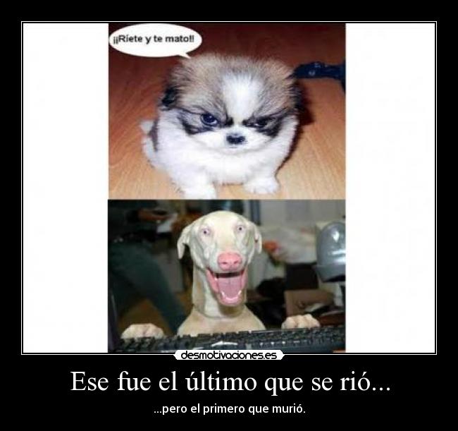 Ese fue el último que se rió... -