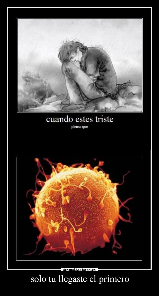 solo tu llegaste el primero - 