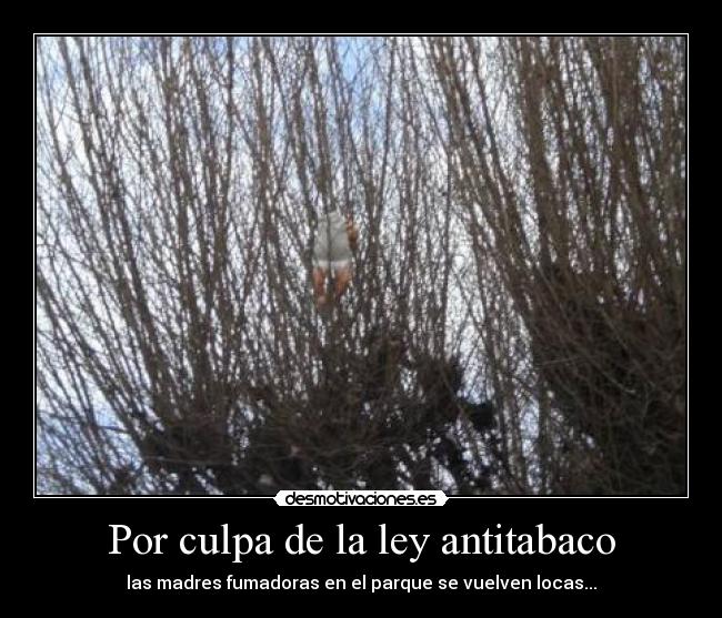 Por culpa de la ley antitabaco - 