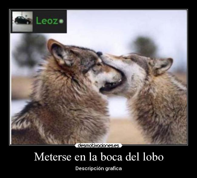 carteles lobo boca problemas trolls autentica desmotivaciones