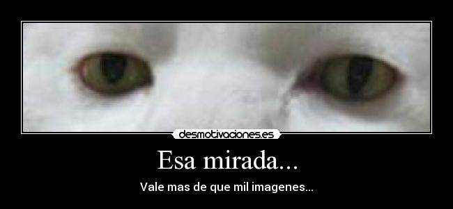 Esa mirada... -
