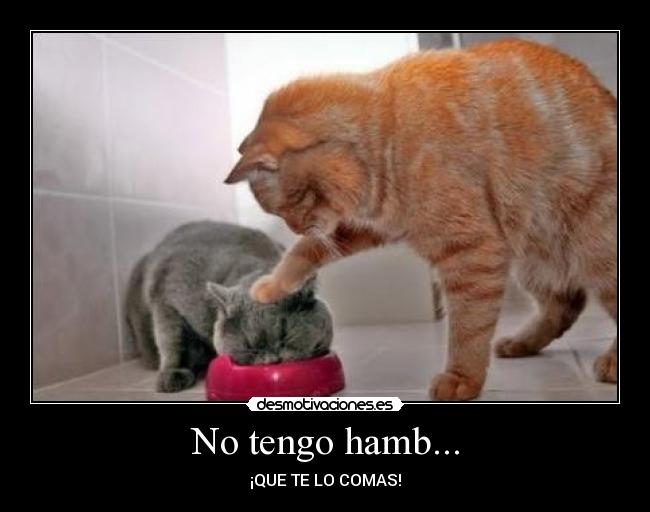 No tengo hamb... -