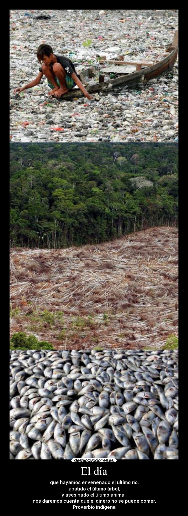 El día - que hayamos envenenado el último río,
abatido el último árbol,
y asesinado el último animal,
nos daremos cuenta que el dinero no se puede comer.
Proverbio indígena