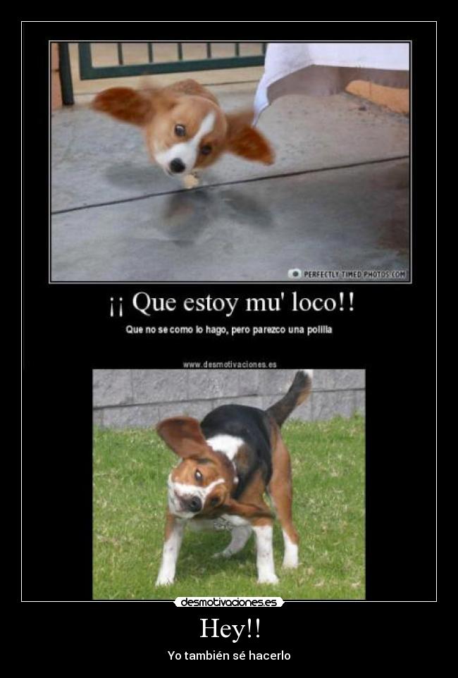 Hey!! - Yo también sé hacerlo