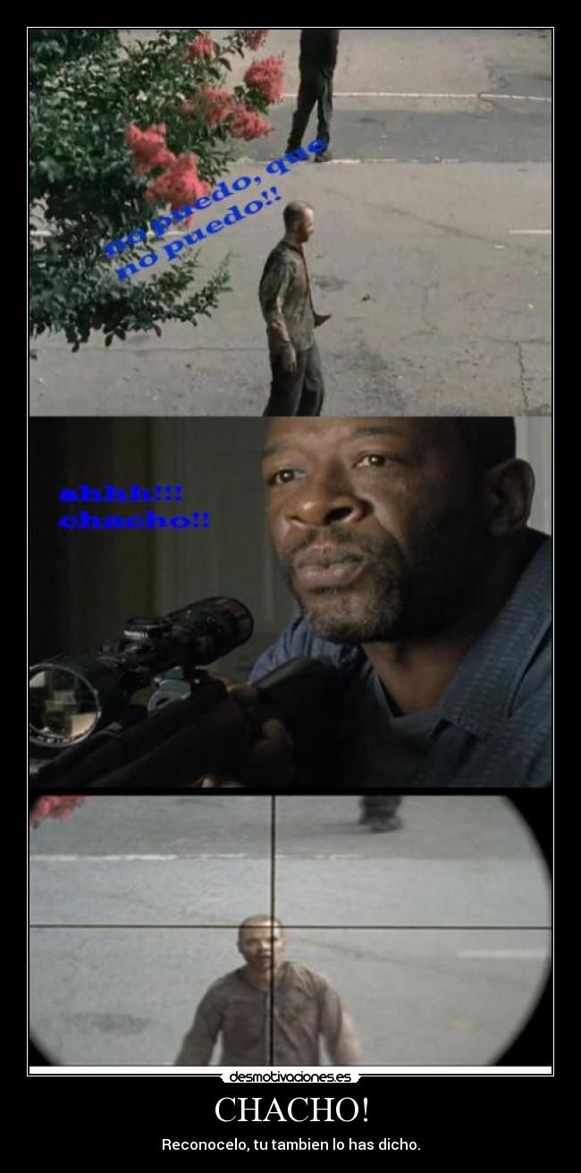 CHACHO! - 