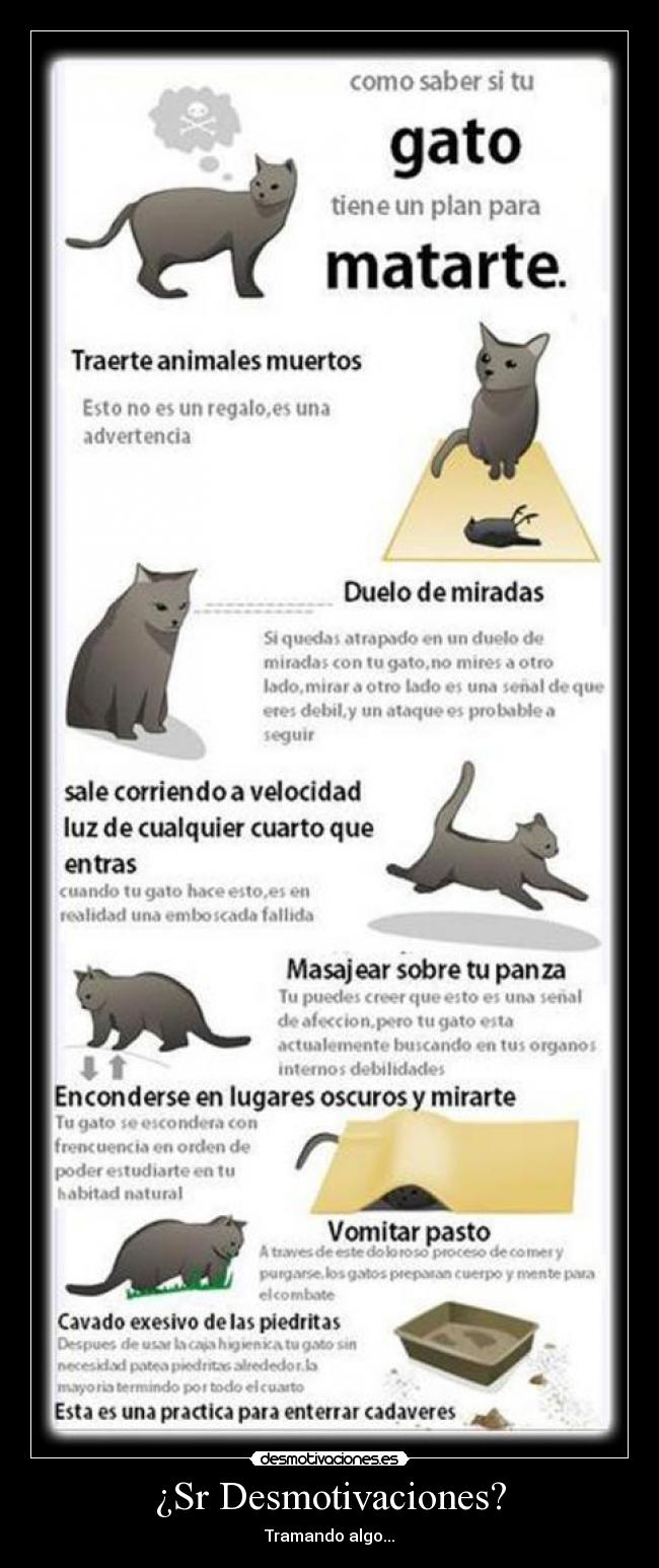 ¿Sr Desmotivaciones? - 