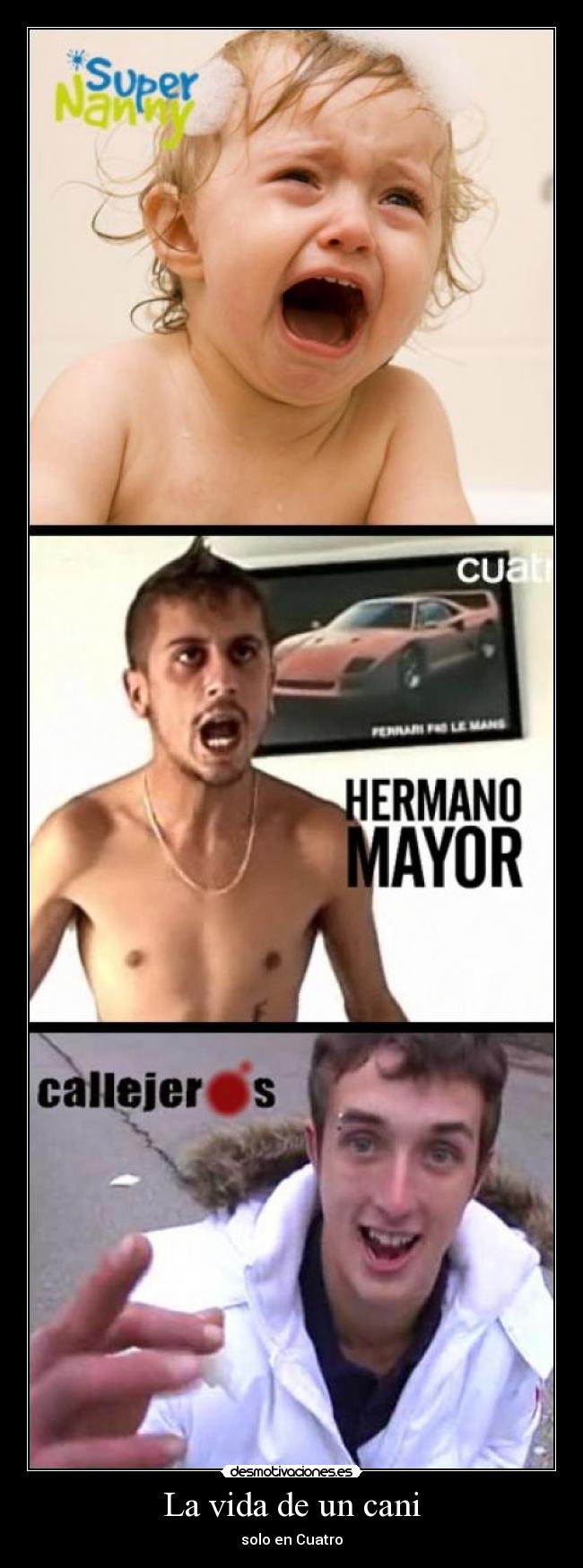 La vida de un cani -