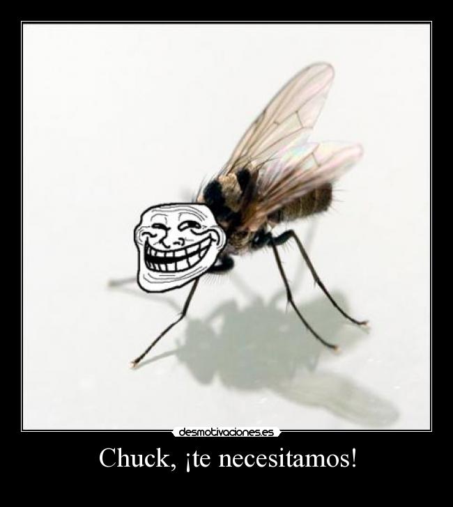 Chuck, ¡te necesitamos! - 