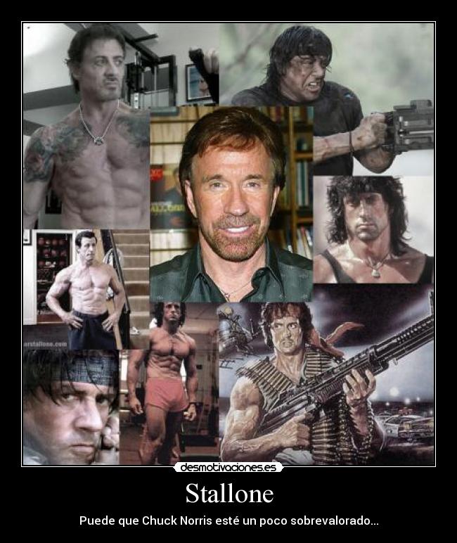 Stallone - Puede que Chuck Norris esté un poco sobrevalorado...