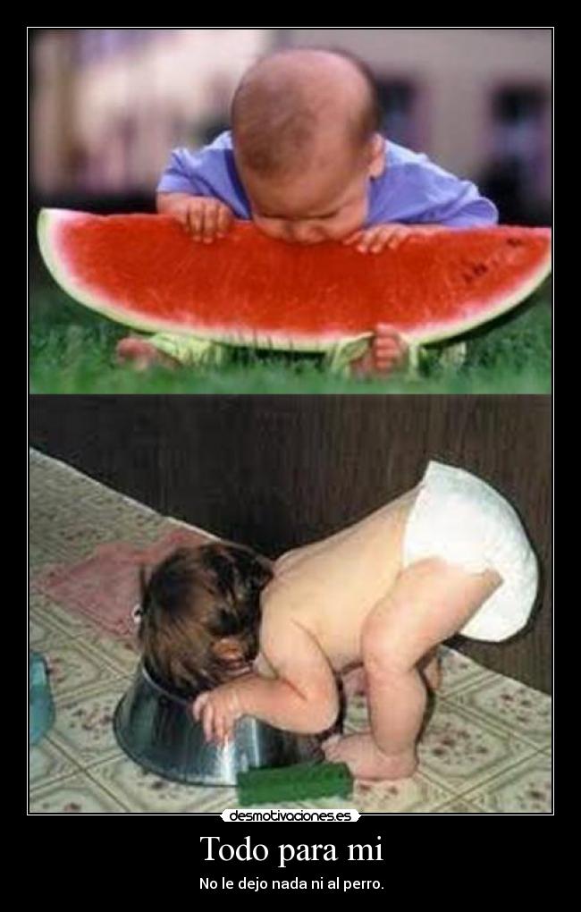 Todo para mi - No le dejo nada ni al perro.