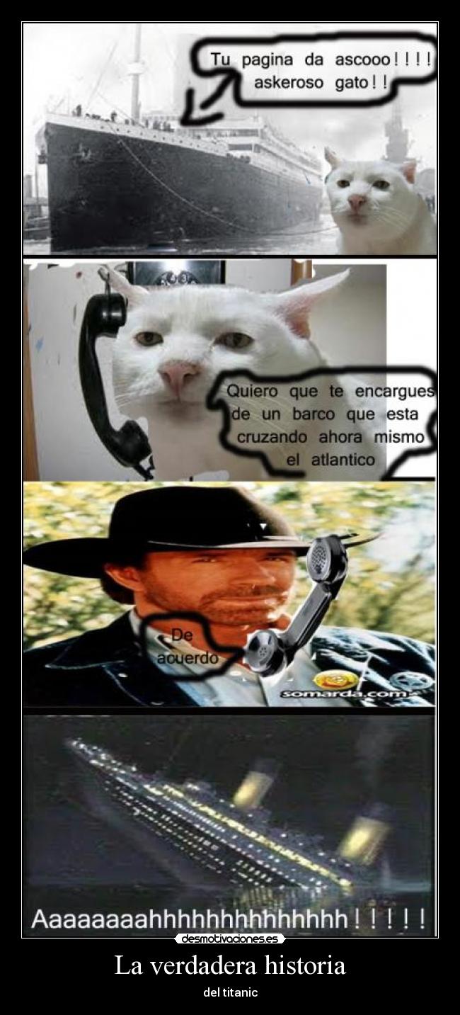 La verdadera historia - 