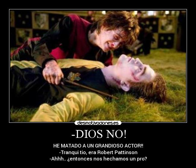 carteles harry potter desmotivaciones