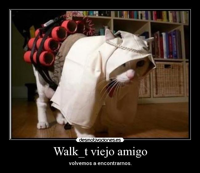 Walk_t viejo amigo - volvemos a encontrarnos.