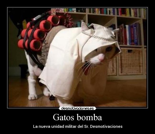 Gatos bomba - La nueva unidad militar del Sr. Desmotivaciones