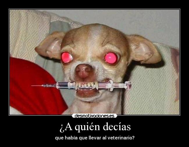 ¿A quién decías - 