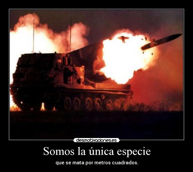 Somos la única especie -