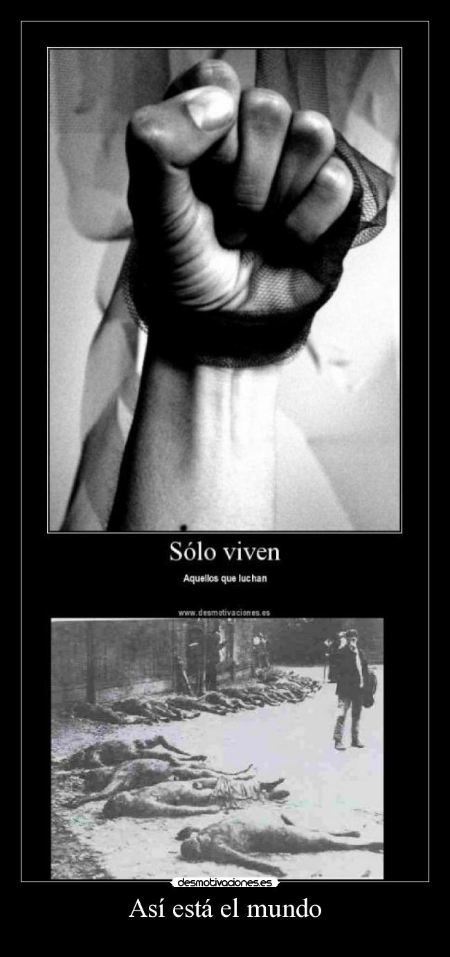 Así está el mundo - 
