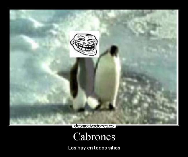 Cabrones - Los hay en todos sitios