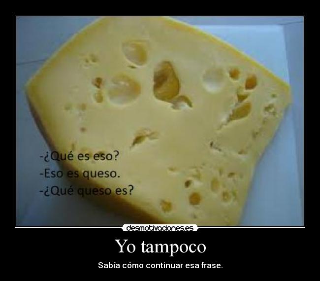 Yo tampoco - Sabía cómo continuar esa frase.