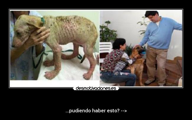  - ...pudiendo haber esto? -->