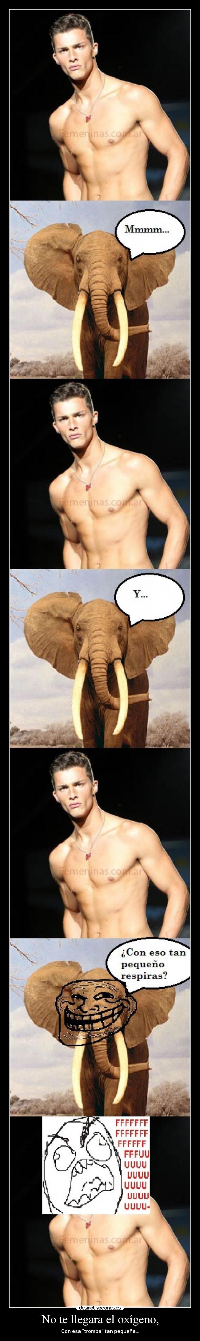 No te llegara el oxígeno, - Con esa trompa tan pequeña...
