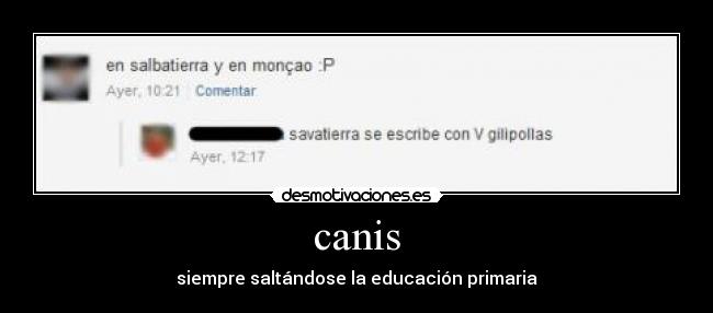canis - siempre saltándose la educación primaria