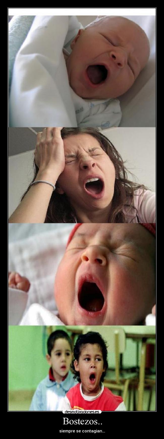 Bostezos.. - siempre se contagian...