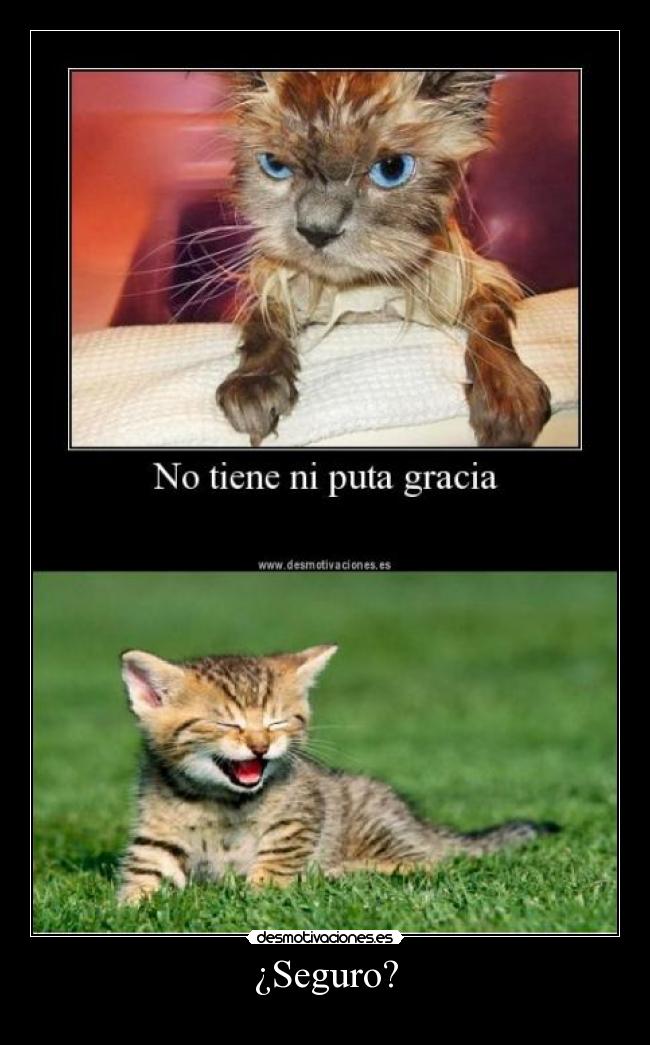 ¿Seguro? -