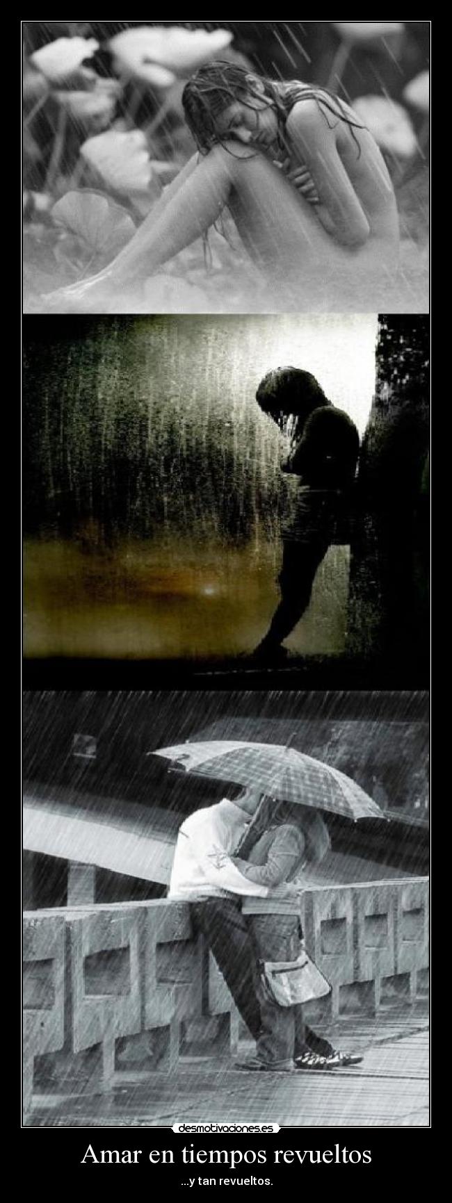 carteles perro desmotivaciones