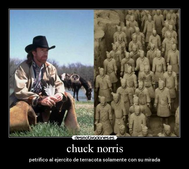 chuck norris -