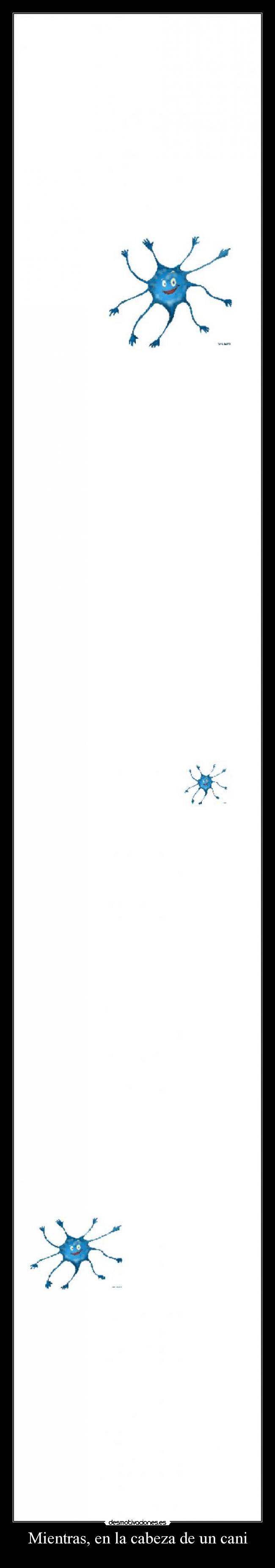 Mientras, en la cabeza de un cani -