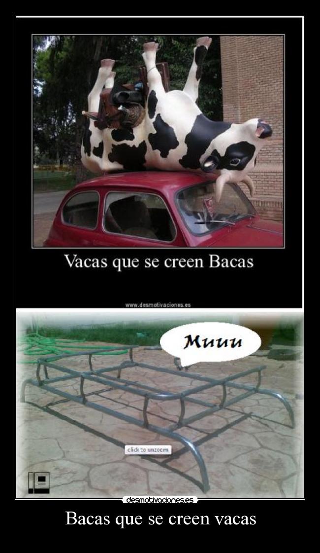 Bacas que se creen vacas - 