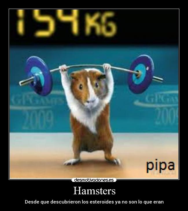 Hamsters - Desde que descubrieron los esteroides ya no son lo que eran