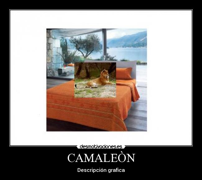 CAMALEÒN - Descripción grafica
